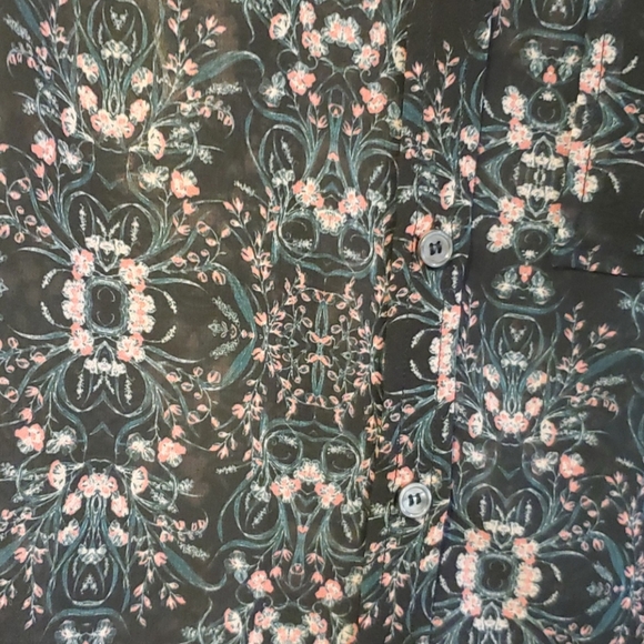 💕4/$25💕 Sheer buttoned blouse - Picture 2 of 6